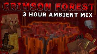 Crimson Forest Ambient Sounds 3 HOURS  Minecraft 1.16 Nether Ambiance