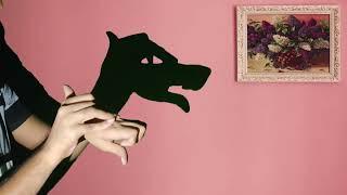 Hand Shadow Puppet Show