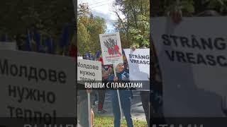 Протестующие в Кишиневе вышли с плакатами обменяю президента на дрова