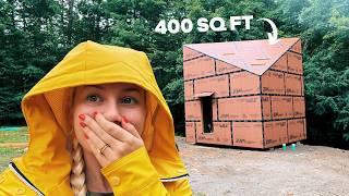 Cabin Tour building a TINY HOUSE 325 sqft  Update #3