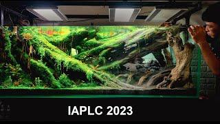 #6 Vòng Lặp  IAPLC 2023 Rank 143  Setup hồ thủy sinh IAPLC 2023  Aquascaping #IAPLC2023