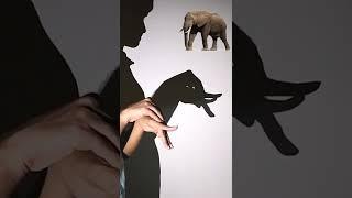 How To Make An Elephant  Very Interesting Video