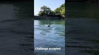 Challenge accepted #short #shortsvideo #nature #swimming#ofwchallenge #adventure #hongkonghikers