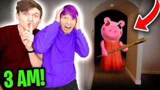 Can We Beat Roblox PIGGY HIDE AND SEEK In REAL LIFE? NEW PIGGY GAME MODE IN REAL LIFE