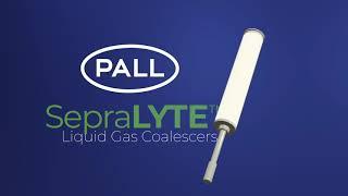 Installing a Pall SepraLYTE Liquid Gas Coalescer