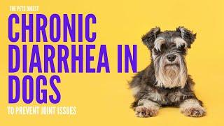 Chronic Diarrhea In Dogs Causes and Treatments