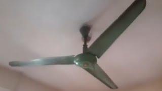 56 Hasan Ceiling fan