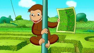 Coco der Neugierige Affe  Coco lernt wie es Eichhörnchen tun  Cartoons für Kinder