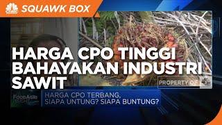 GIMNI Sebut Harga CPO Tinggi Juga Bisa Bahayakan Industri Sawit Ini Alasannya