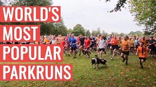 The MOST POPULAR parkruns In The WORLD