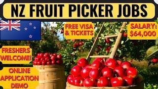 New Zealand Fruit Picking Jobs  New Zealand Work Visa 2023  New Zealand Work Permit  Dream Canada