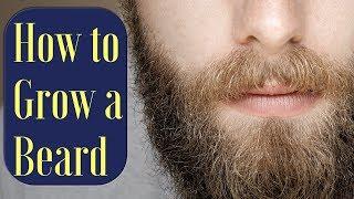 3 Tips on How to Grow a Beard with Beardster