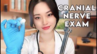 ASMR The Cranial Nerve Exam