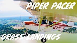 1955 PIPER TRI PACER LANDING ON GRASS STRIPS IN THE MIDWEST