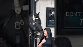 King’s Horse Meets a Very Happy Friendly Tourist