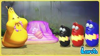 LARVA TUBA  LINE  CARTOON MOVIES NEW VERSION  FUNNY CLIP 20224