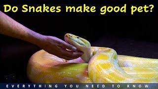 Watch this video before you buy a  pet snake  Pet Snake Caring