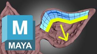 Quad Draw the FAST Way  Maya Retopology