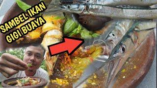 Bertahan Hidup Masak Ikan Gigi Buaya Resep Negara Konoha