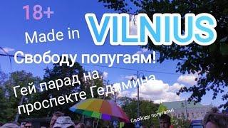 18+ Гей парад в Вильнюсе на проспекте Гедимина. Свободу попугаям Полная версия. Made in VILNIUS.