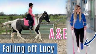 Bucked Off Lucy & A Trip To A&E  Weekly Barn Vlog