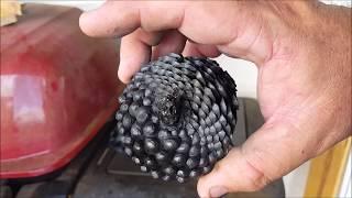 Pops Shack - Pinecone pyrolisis charcoal