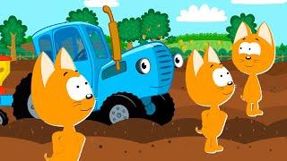 Canción del Tractor Azul  Canciones infantiles  El gatito Koté