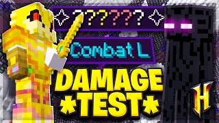 The Combat Level 50 Damage Test Hypixel Skyblock