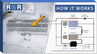 Refrigerator Defrost Explained How it Works  Repair & Replace