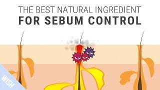 How To Control Excessive Sebum That Leads To Acne  SKINMISO Im A. Helper