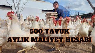 500 TAVUK AYLIK MALİYET HESABI 1 AYLIK KÜMES GIDERLERIMIZ NEKADAR? #gezentavuk