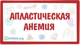 Апластическая анемия — причины симптомы патогенез диагностика лечение