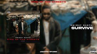 Emiway Bantai - Survive Official Audio Ft. VBreakProd by Bxl Grapes King Of The Streets Album