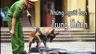 Những người bạn Trung Thành