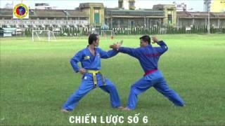 Vovinam - Chiến lược 1 - 10 Liên đoàn Vovinam VN