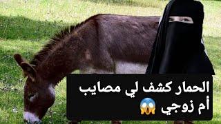 الحمار كشف لي مصايب أم زوجي  قصة حقيقية ‼