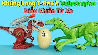 Khủng Long Bạo Chúa T-Rex Chiến Đấu Và Khủng Long Velociraptor Khổng Lồ Điều Khiển Từ Xa  Mở Hộp TV