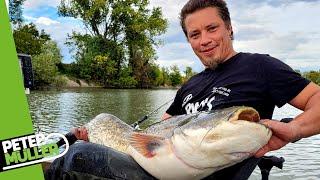 Waller- und Karpfenangeln - Am Canale Bianco in Italien #fishing