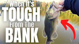 The #1 Bank Fishing LURE When Its TOUGH NOT a Wacky Rig