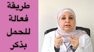 ٤٢_طريقة مضمونة للحمل بمولود ذكر