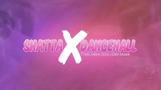 Shatta x Dancehall  Ti Mix Délire 2023  ESM Musiik