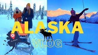 Alaska Vlog  DOG SLEDDING  SKIING MOUNTAINS 