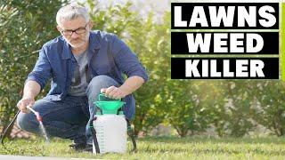 Top 10 Best Weed Killer for Lawns in 2023  In-Depth Reviews & Buying Guide