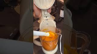 Favorite baby food processor