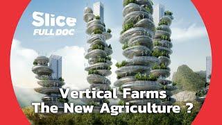 Demographic Growth  Are Vertical Farms the Solution?  FULL DOCUMENTARY