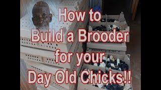 How To Construct  And Prepare For A Brooder  With Dr.Isa Luigare Part 1