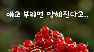 애교부리는 여자친구에게 화도 못내겠는 남친ASMR