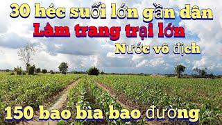 Cần nhượng 30 Ha đất cách dân nước điện vài trăm mét lh 0983803253