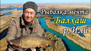 2К Рыбалка в дельте Или  Рыбалка в Казахстане  Балхаш  р.Или  Рыбалка2021