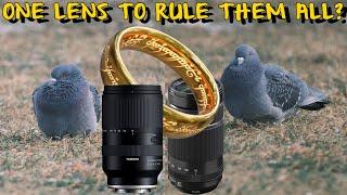 Fuji 70-300mm vs Tamron 18-300mm Best Wildlife Superzoom Lens